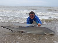 Sharkaholics - Zach Crain