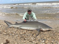 Sharkaholics - Jimmy Lynch