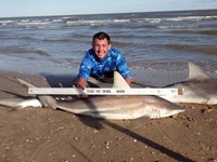 Sharkaholics - Zach Crain