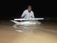 Shark Tribe - Tim Merchant