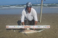 Shark Tribe - Tim Merchant