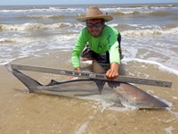 Sharkaholics - Zach Crain