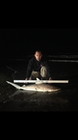 TEAM H&J SHARK HUNTERS - CRAIG  OTTOFARO