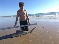 TEAM H&J SHARK HUNTERS - ANTHONY  ABREGO