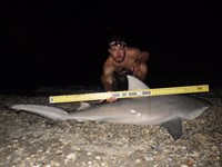 Sharkaholics - Zach Crain