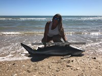 Team JackWagon - Kimberly Collier