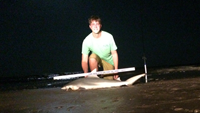 REELentless Sharkers - Clayton Nagler
