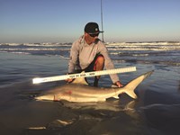Shark Tribe - Jimmy Limon