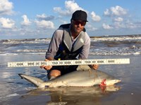 Shark Tribe - Jimmy Limon