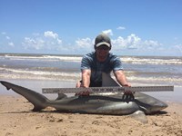 Sharkaholics - Jimmy Lynch