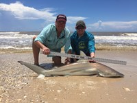 Sharkaholics - Jimmy Lynch