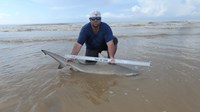 Sharkaholics 2 - Chase Schuelke