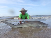 Sharkaholics - Zach Crain