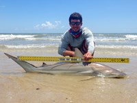 Sharkaholics - Zach Crain