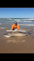 TEAM H&J SHARK HUNTERS - CRAIG  OTTOFARO