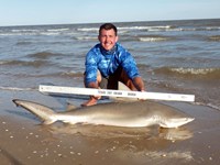Sharkaholics - Zach Crain