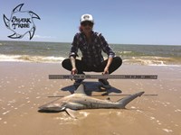 Shark Tribe - Lisa Limon