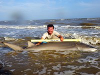 Sharkaholics - Zach Crain
