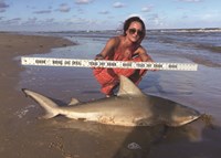 Shark Tribe - Lisa Limon