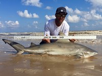 Shark Tribe - Jimmy Limon