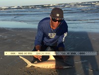 Shark Tribe - Jimmy Limon