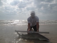 Sharkaholics - Ron Richmond