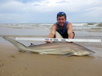 Sharkaholics - Zach Crain