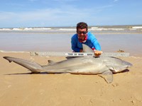 Sharkaholics - Zach Crain
