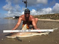 Fight the Fish - Wesley Chait