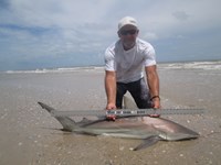 Sharkaholics - Ron Richmond