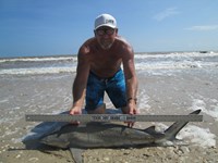 Sharkaholics - Ron Richmond