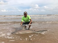 Shark At The Moon - Derek Williams