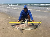 Pescador  - Tomas Barriga