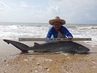 Sharkaholics - Zach Crain