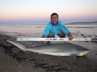 Sharkaholics - Zach Crain