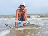 Sharkaholics - David Crain