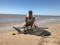 Team JackWagon - Kimberly Collier