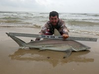 Sharkaholics - Zach Crain