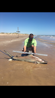 TEAM H&J SHARK HUNTERS - CRAIG  OTTOFARO