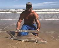 Shark Tribe - Tim Merchant