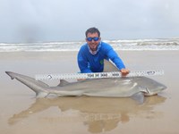 Sharkaholics - Zach Crain