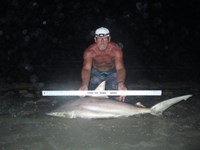 Sharkaholics - Ron Richmond