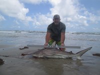 Sharkaholics - Ron Richmond