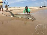 TEAM H&J SHARK HUNTERS - CRAIG  OTTOFARO