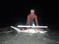 Sharkaholics - Ron Richmond