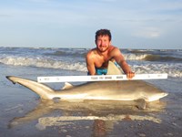 Sharkaholics - Zach Crain