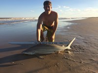 REELentless Sharkers - Clayton Nagler