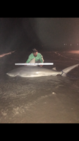 TEAM H&J SHARK HUNTERS - CRAIG  OTTOFARO