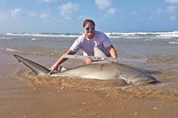 Shark Tribe - Jennifer Merchant