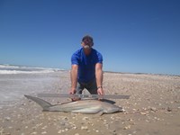 Sharkaholics - Ron Richmond